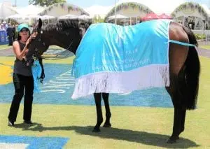 Problem Solver won the Magic Millions Maiden