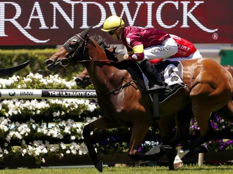 Jockey Jason Collet rides Aqua D'ivina to win at Randwick