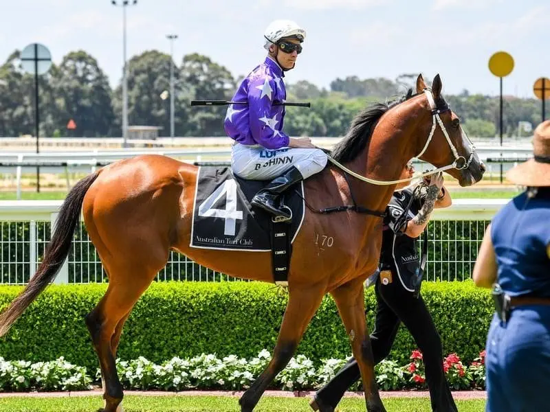 Last-start Warwick Farm winner will run at Randwick after recovering from heat stress. cellar