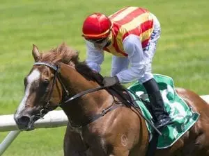 Magic Millions absences give apprentice jockeys plenty of metro hopes