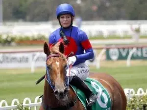 Golden Slipper chance eases pain for Olive Golden Slipper chance eases pain for Olive