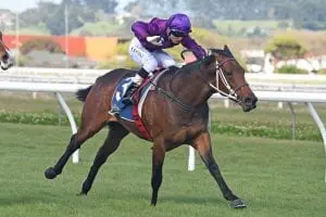 Sir Nate winning at Wanganui