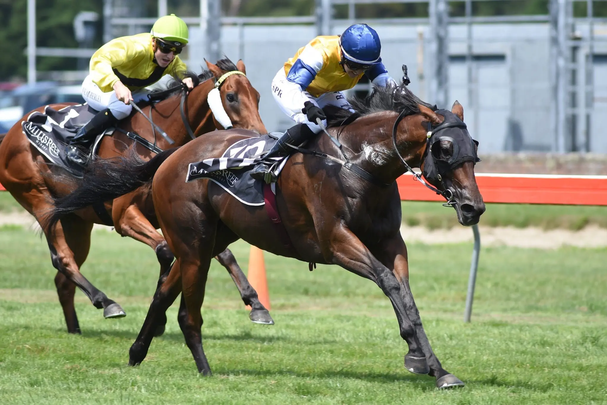 Stolen Dance winning the Group 1 Thorndon Mile