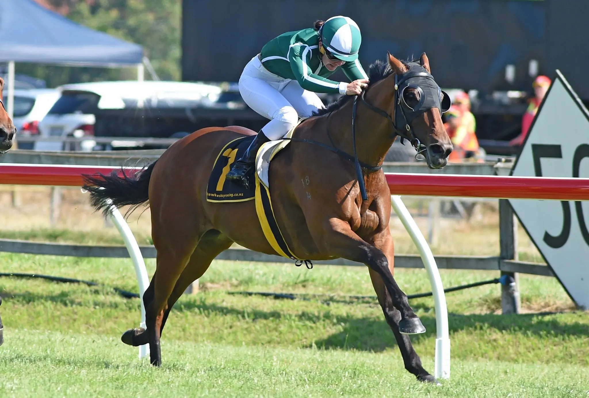 Swiss Precision heads to group 3 fillies race