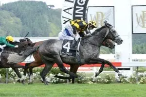 Von Tunzelman winning the Trentham Stakes