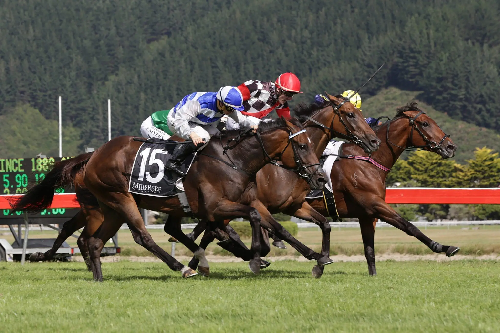 Wait A Sec (red cap) noses out Asama Blue (outer) to win the Group 3 Tui 