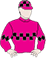 Secret Lady betting