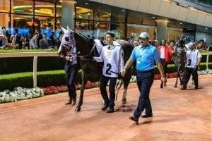Veteran Stars Lead The Charge In Jebel Ali Friday Feature