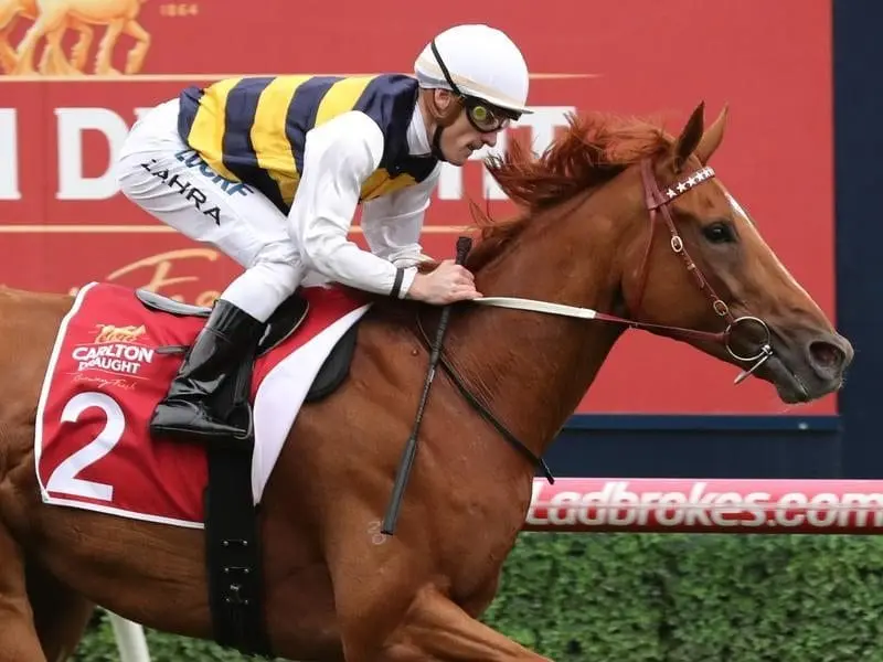 Gailo Chop has tightened his grip on Australian Cup favouritism with a win at Caulfield. Jockey Mark Zahra rides Gailo Chop to victory.