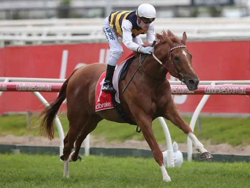 Gailo Chop wins at Caulfield.