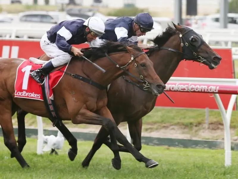 Homesman winns the Mornington Cup Prelude at Caulfield