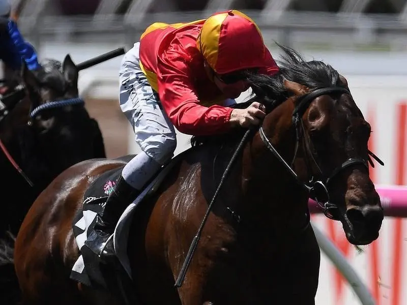 Levendi ridden by Mark Zahra.