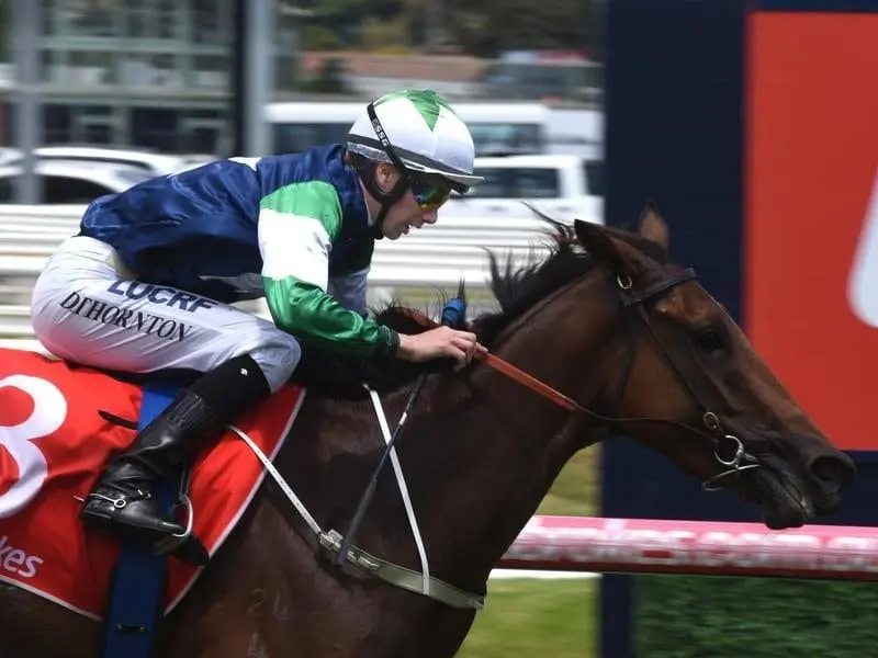 Jockey Damien Thornton rides Paris Rock to win Race 3.