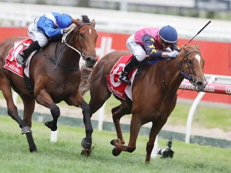 Summer Sham remains unbeaten after her all-the-way G2 Angus Armanasco Stakes win at Caulfield. Summer Sham