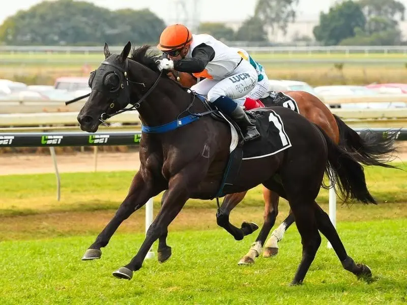 The rain in Brisbane should assist Stella Ombra at Doomben which is in the soft range. stella