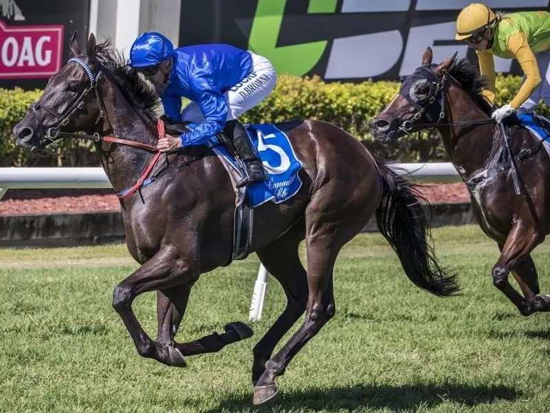 Old North has ended a long losing sequence with his win for the Godolphin stable at Doomben. Old North.