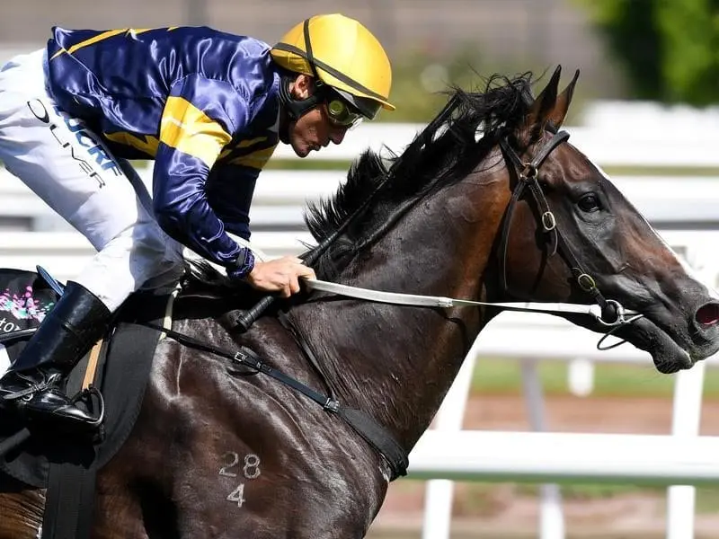 Grunt wins at Flemington.