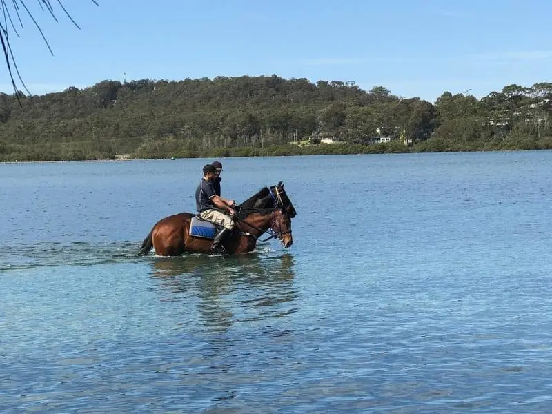 Fell Swoop at the beach.