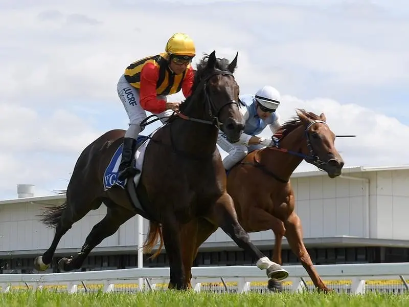 Boomsara wins at the Gold Coast.