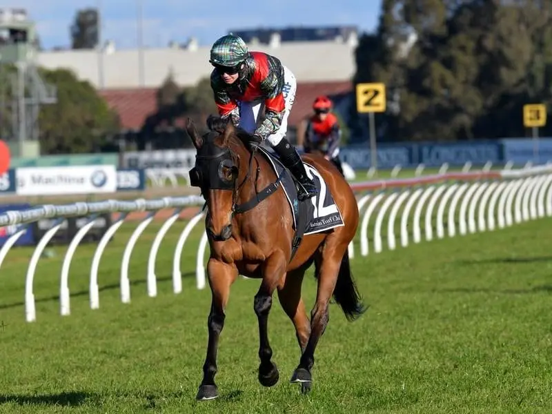Winter Stakes winner Slightly Sweet will make her return in the Group Two Breeders' Classic. sweet