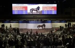 Hong Kong International Sale
