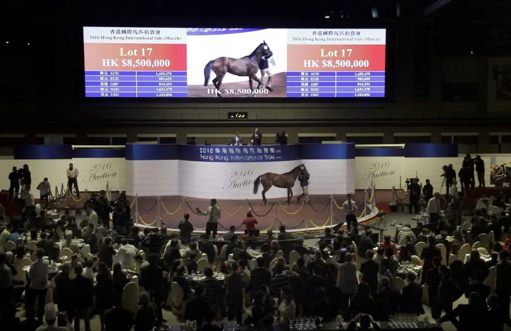 Hong Kong International Sale