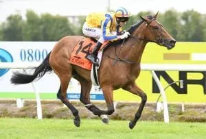 I Am Poppy