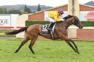 Pendleton wins Dunedin Gold Cup