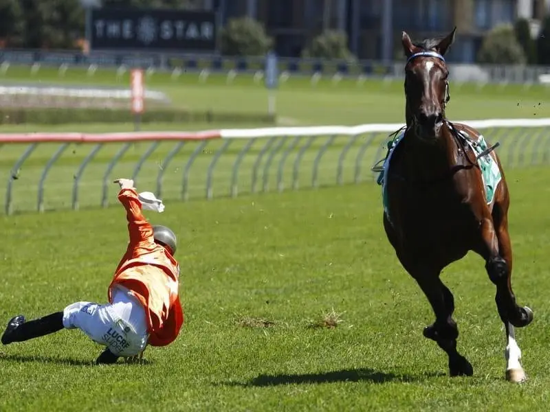 Jason Collett comes to grief just as his mount Prahaar was being hailed the winner at Randwick. Jason Collett is flung to the turf at Randwick.