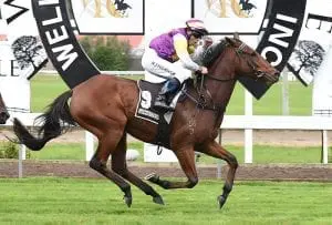Robbie Hannam 1000 wins
