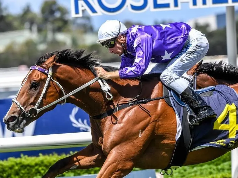 Cellarman wins the Sydney Markets Foundation Stakes