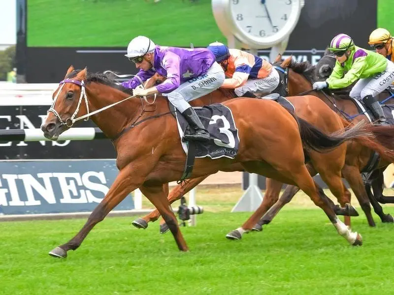 Cellarman wins the #slipperstyle Handicap at Rosehill