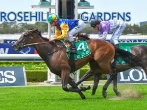 Rosehill track in soft range after rain Rosehill track in soft range after rain