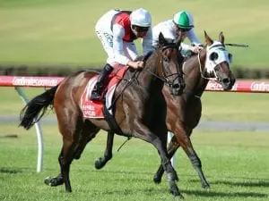 Miss Danni keeps Kingston winners coming