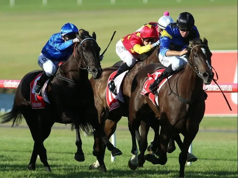 Three-year-old Holbien is back in the good books with trainer Steve Richards after his Sandown win. Holbien wins at Sandown.