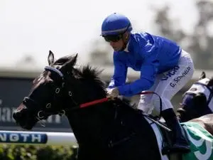Promising start for Godolphin's Couvre Lit