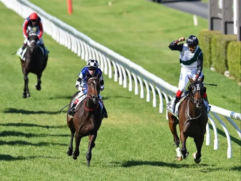Michael Walker celebrates on Fanatic (right) winner of the Adelaide Cup at Morphettville. adelaide cup