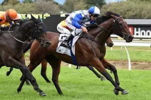 CHARLES ROAD MANAWATU 1-4-2017 NZTM Race Images PN Charles Road Sydney Cup