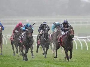 Widgee Turf runs from wide Caulfield draw Widgee Turf runs from wide Caulfield draw