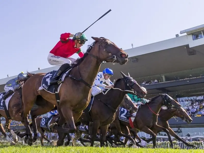 Andrew Adkins rides Daysee Doom to win race 7.