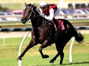 Barrier no problem for Mr Marbellouz Barrier no problem for Mr Marbellouz