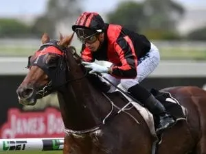 Rains Aplenty revels in the wet at Doomben Rains Aplenty revels in the wet at Doomben