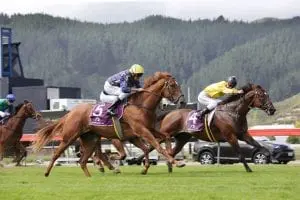 Euphoria Talented but troublesome Euphoria records stylish win