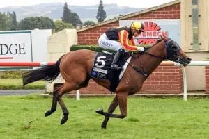 Excelleration Tasman trip beckons for filly Excelleration