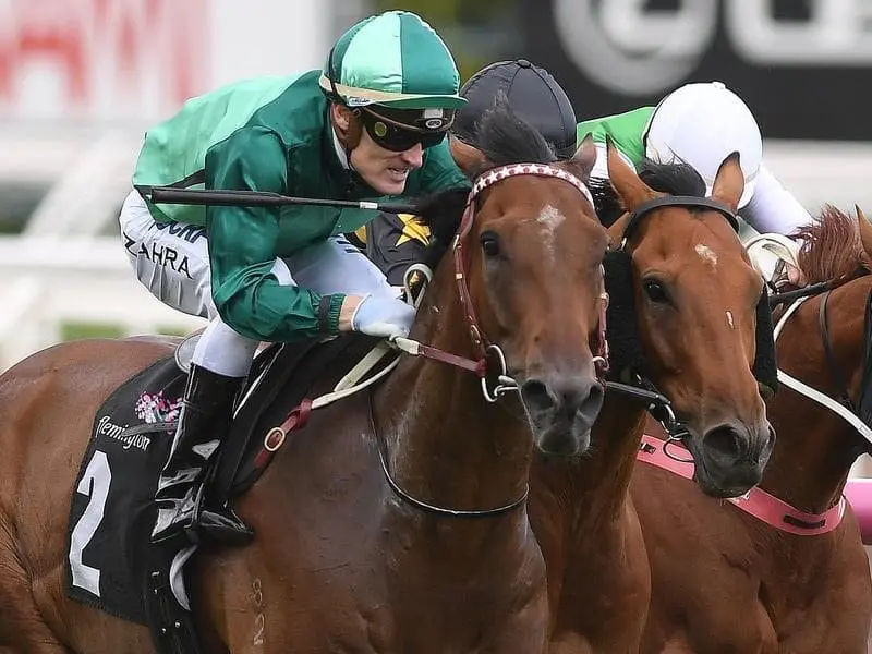 Jockey Mark Zahra rides the Darren Weir trained Humidor.