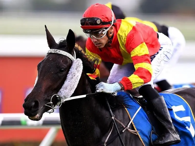 Trainer Kevin Kemp hopes Plumaro can win the $250,000 Jewel for two-year-olds at the Gold Coast. Jockey Jag Guthmann-Chester rides Plumaro to victory