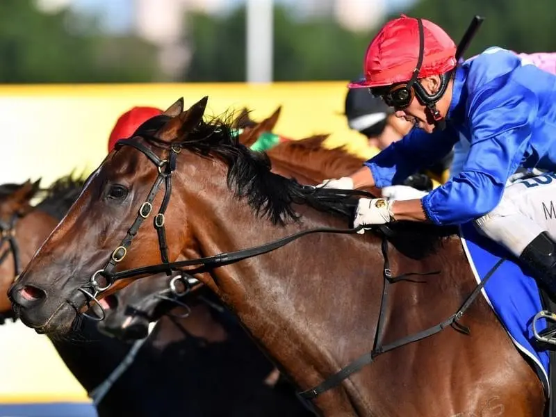 Jockey Matthew McGillivray is seen on Raido winning race 8.