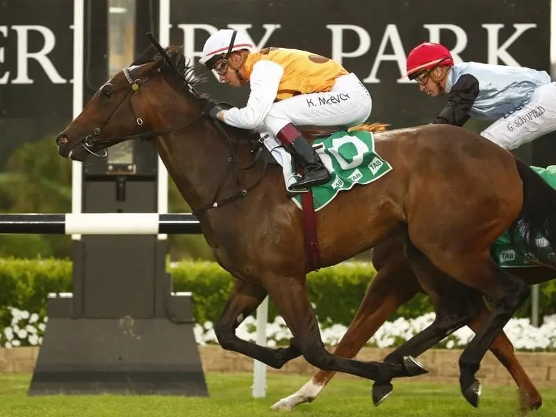 Sweet Ava will be tested at 1400 metres in the Group Three Schweppervescence at Rosehill. sweet ava