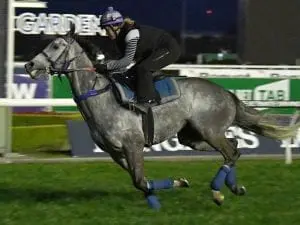 Chautauqua Chautauqua's barrier antics play out again