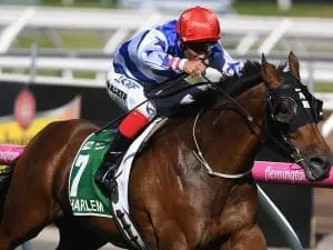Harlem to chase another Group One win Harlem to chase another Group One win